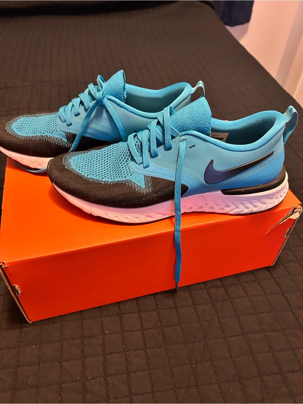 Nike Light Blue and Black Men’s Running Shoes